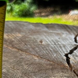 Stanley 40oz Red Delicious Tumbler Stanley and Elf Cosmetics Exclusively - NWT